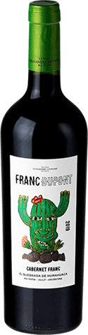 franc-dupont-cabernet-franc-750-cc