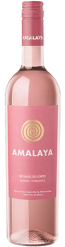 Amalaya Rose