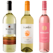 seleccion_blanco_y_rosado_noviembre_2025_club_del_vino_jujuy