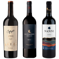 seleccion_clasica_septiembre_2025_club_del_vino_jujuy