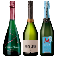 seleccion_espumante_inicial_diciembre_2025_club_del_vino_jujuy