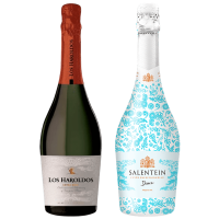 seleccion_espumante_inicial_noviembre_2025_club_del_vino_jujuy