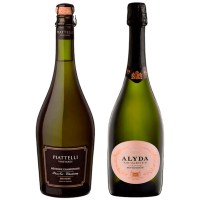 seleccion_espumante_premium_diciembre_2025_club_del_vino_jujuy