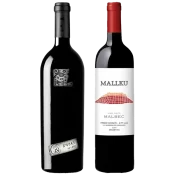 seleccion_iconos_julio_2026_club_del_vino_jujuy