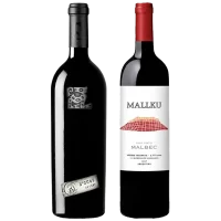 seleccion_iconos_julio_2026_club_del_vino_jujuy