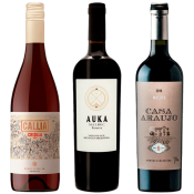 seleccion_inicial_diciembre_2025_club_del_vino_jujuy