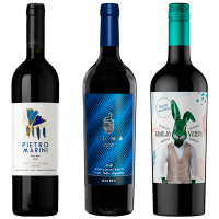 seleccion_inicial_noviembre_2025_club_del_vino_jujuy