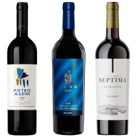 seleccion_inicial_noviembre_2025_club_del_vino_jujuy