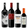 seleccion_joven_julio_2026_club_del_vino_jujuy