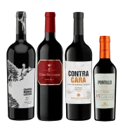 seleccion_joven_julio_2026_club_del_vino_jujuy