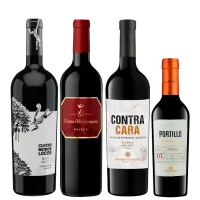 seleccion_joven_julio_2026_club_del_vino_jujuy