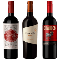 seleccion_joven_octubre_2025_club_del_vino_jujuy