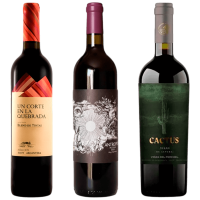 seleccion_jujuy_diciembre_2025_club_del_vino_jujuy