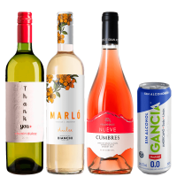 seleccion_mujer_octubre_2025_club_del_vino_jujuy