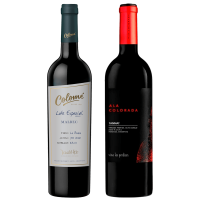 seleccion_premium_enero_2026_club_del_vino_jujuy