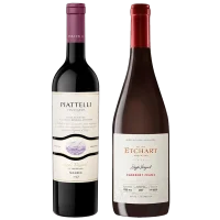 seleccion_premium_junio_2026_club_del_vino