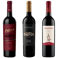 seleccion_salta_septiembre_2026_club_del_vino_jujuy